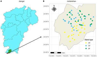Tight relationships between leaf and topsoil stoichiometries after 42 years of forest conversion from old-growth forests to Chinese fir plantations